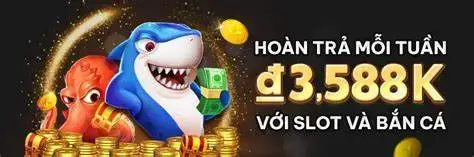 Hoàn trả hàng tuần tại Bắn Cá Debet